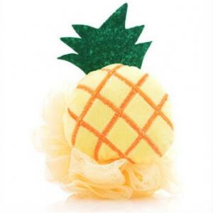 YLBL004--Fruit loofah 