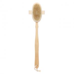 YLBW005--wooden back brush 